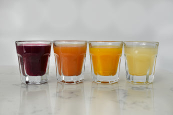 Probiotic Gut Tonics